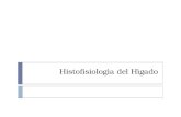 Histofisiologia de Higado y Vesicula Biliar