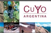 Region Cuyo (año 2009)