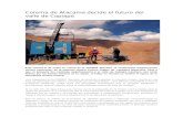 Corema de Atacama decide el futuro del valle de Copiapó
