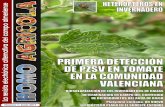 REVISTA HOMO AGRICOLA.Nº1_junio2011+side effects