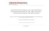Introducción Métricas Irregulares PDF