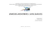 Indicadores Sociales (Trabajo Mirna)