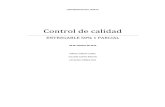 Entregable Control_ Garcia - Santis - Torres