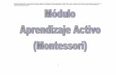Modulo Aprendizaje Activo-montesori