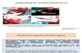 4. Abdomen Hemorragico