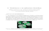 Dendrímeros y sus aplicaciones biomédicas