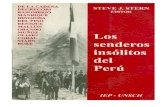 Steve Stern Sendero Peru