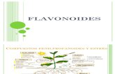 QPN - Flavonoides
