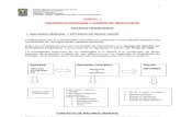 PDF Unidad i Balance Clasificado