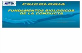 Unidad 3 Psicobiologia y Etologia