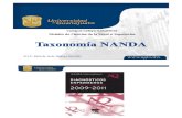 Taxonomía NANDA