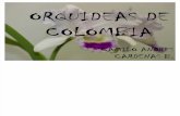 ORQUIDEAS DE COLOMBIA