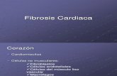 Fibrosis Cardiaca
