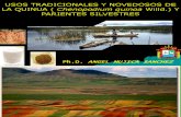 Usos Tradicionales y Novedosos Quinua y Parientes Silvestres-IICIQuinua-RM
