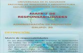 Grupo 20_matriz de Responsabilidad