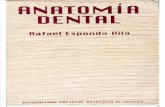 30468426 Anatomia Dental Esponda Vila