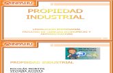 Ppt Propiedad Industrial