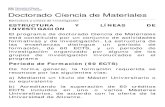 Estructura y Lineas de Investigacion PDF