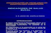 Indicadores de Salud Salud Bucal
