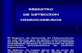 Registro de Hidrocarburos Mudloging
