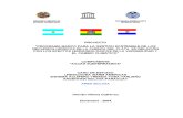 Informe Final SAYTT BOLIVIA