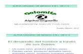 Dolomita Alpha Organic de Mexico Srl de Cv