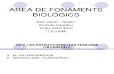 Bloc comú I-Fonaments Biològics-UD2 IV(Sistema Endocrí i Metabolisme)