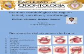 Semiologia de Region Labial Carrillos y Orofaringe