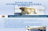Manual de Entrenamiento Para Perros