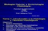 Histologia Tema 1 Coloraciones 2011
