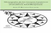 Monografía de los grupos genéricos Anactinothrips-Zeugmatothrips