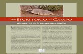 Mamiferos de La Estepa Patagonica