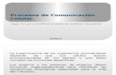 68273755 Procesos de Comunicacion Celular Tsb i