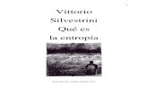 QUE ES LA ENTROPIA-Vittorio Silvestrini