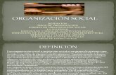 organización social, y tipos de organización