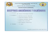 Seminario 3-Receptores Adrenergicos y Colinergicos