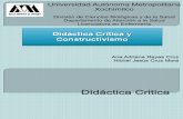 Didactica Critica y Constructivismo