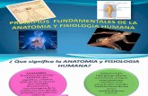 PRINCIPIOS  FUNDAMENTALES DE LA ANATOMIA Y FISIOLOGIA HUMANA