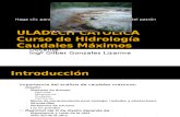 Hidrologia Clase Maximas Avenidas 1