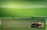 PEROXISOMA Y GLIOXISOMA