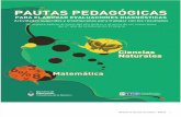 Diagnosticas Naturales Matematica 2011