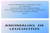 6.ANOMALIAS DE LEUCOCITOS