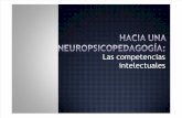 L13 - Hacia una neuropsicopedagogía