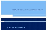 Clase Placenta