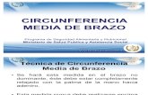 3. Circunferencia Media de Brazo