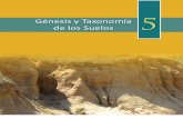 Genesis y Taxonomia Suelos