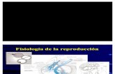 02 Endocrinologia de La Reproduccion 2007