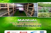 Manual para la producción de hierbas aromáticas