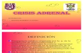 Crisis Adrenal