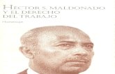 Hector s. Maldonado y El Derecho Del Trabajo